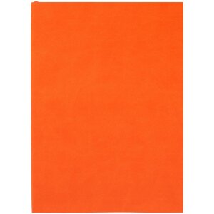 Ежедневник Flat Light, недатированный, оранжевый